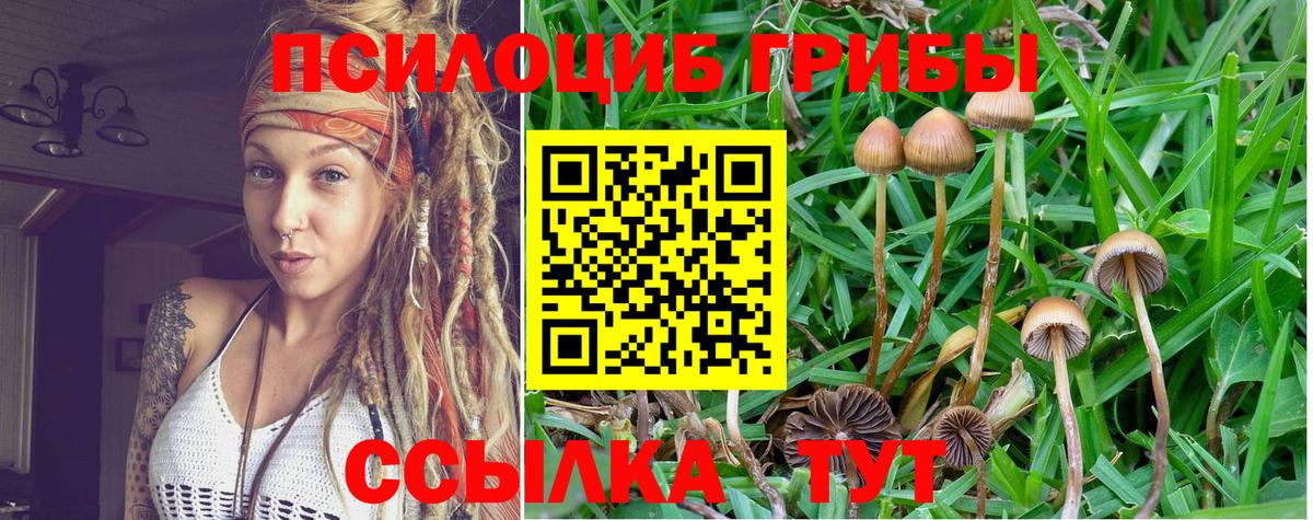 Псилоцибиновые грибы Psilocybine cubensis  Вход с VPN  Советская Гавань 